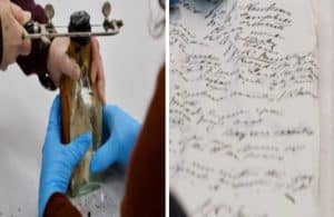 A bottle with a note that is over 120 years old has been found