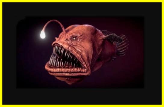 Біля берегів Канарських островів помітили морського чорта