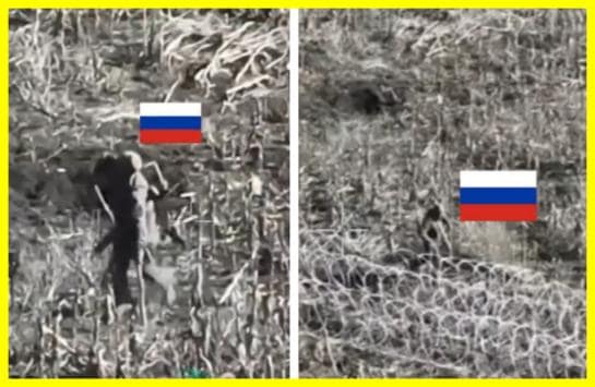 Sticks instead of crutches and go ahead