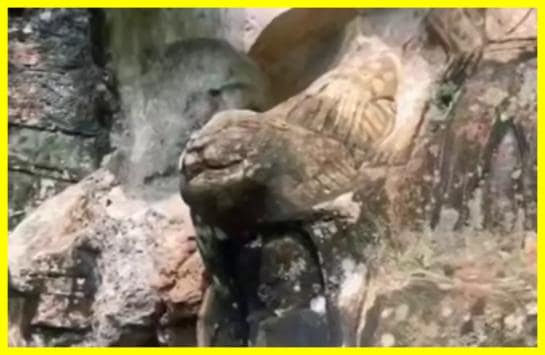 В Бразилії археологи виявили загадкові наскальні сліди