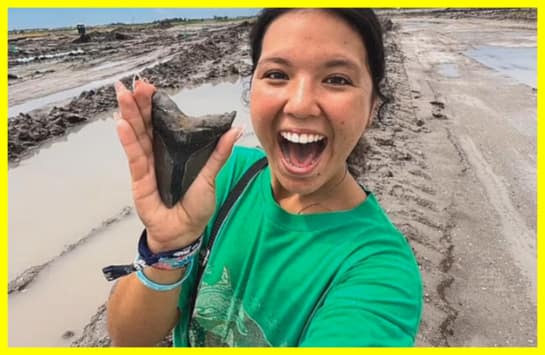 Дівчина на пляжі знайшла зуб доісторичної акули