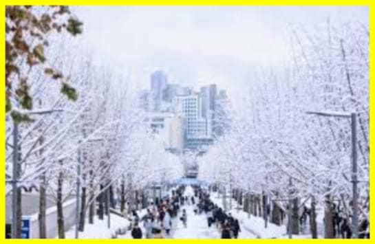В Сеулі найсильніший снігопад за 100 років