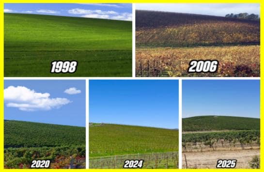 Легендарний зелений пагорб зі шпалер Windows XP