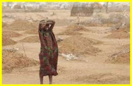 Вчені знайшли спосіб врятувати землі Африки від посухи