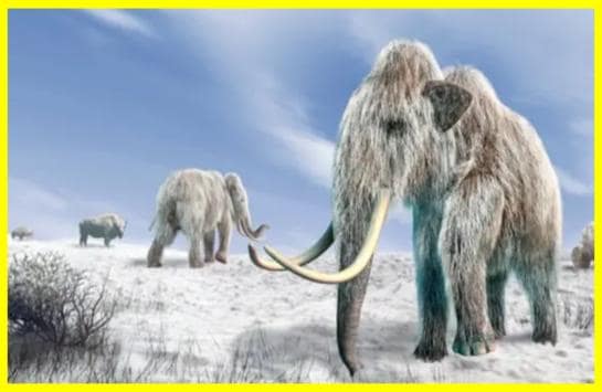 ДНК бактерій із зуба мамонта