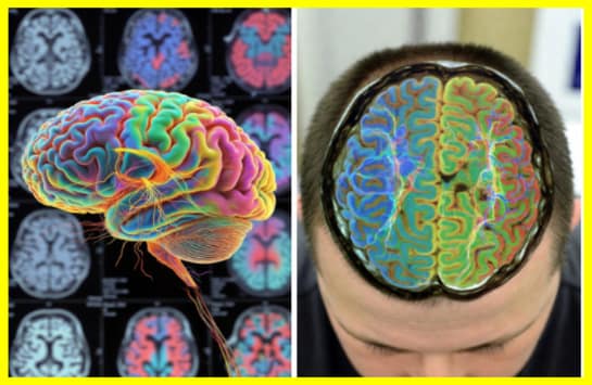 Adolescence Doesn’t End at 25 — It Lasts Until Age 32, According to Cambridge Scientists