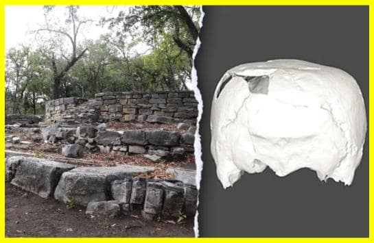 Унікальне відкриття в Мексиці: 1400-річний череп кубічної форми з деформацією