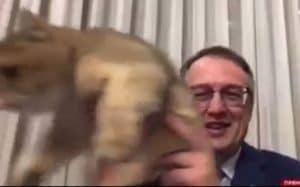 Кот Антона Геращенко стал «звездой» вечернего ток-шоу