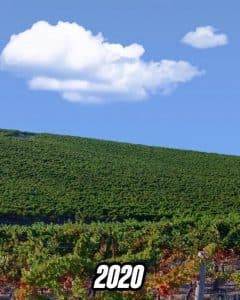 Легендарний зелений пагорб зі шпалер Windows XP