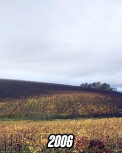 Легендарний зелений пагорб зі шпалер Windows XP