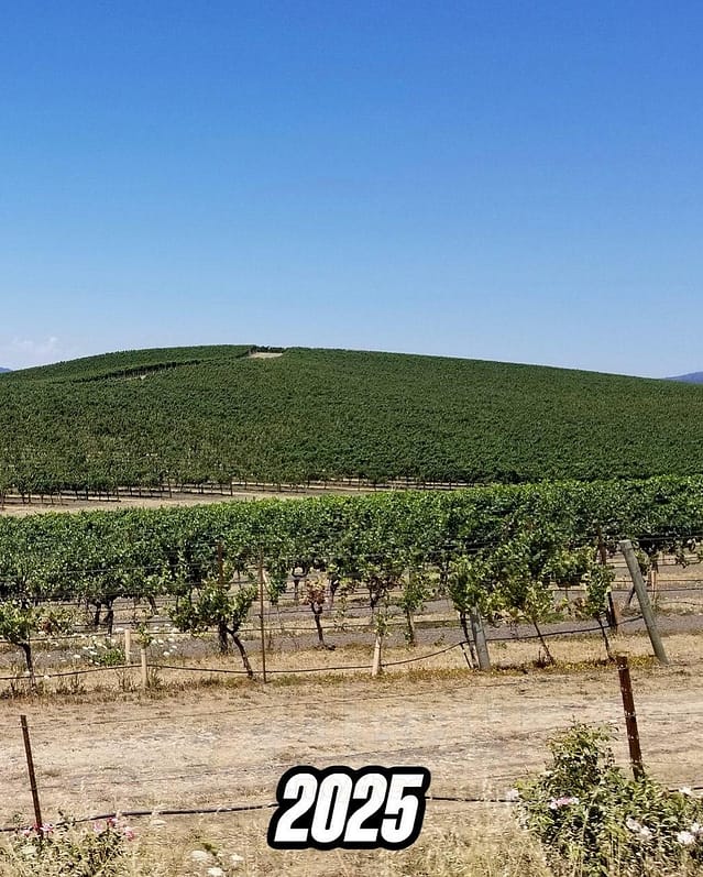 The legendary green hill from Windows XP