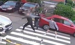 В Киеве подрались хозяева собак из-за своих питомцев