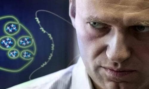 Навальний вийшов з коми