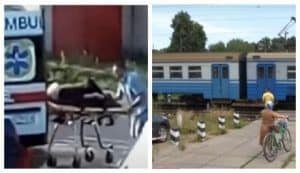 Священник и его поводырь угодили под поезд